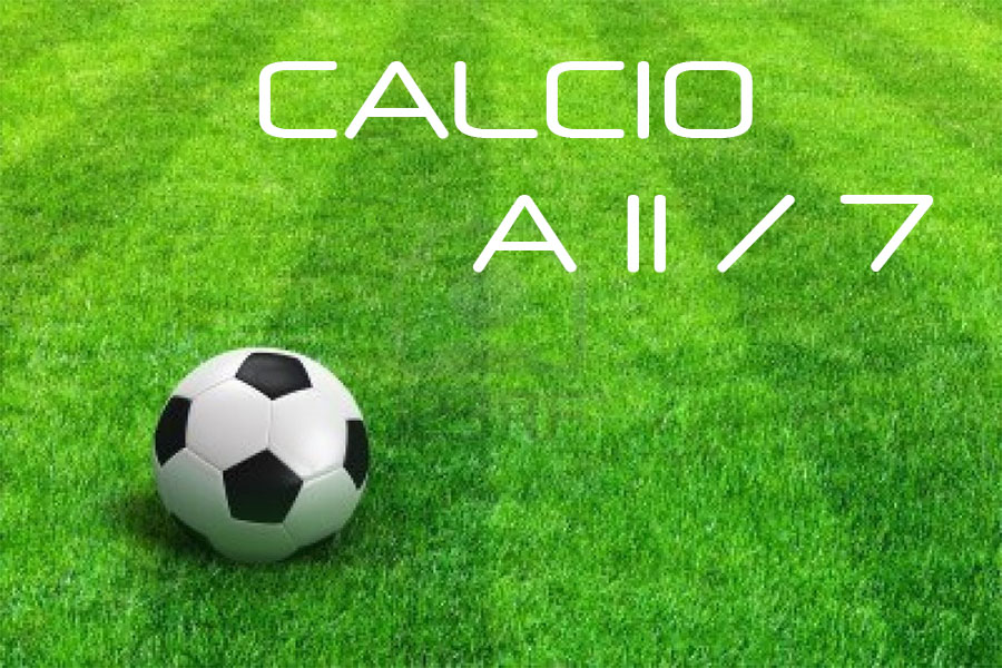 Olimpica Sport Torino - Calcio 11